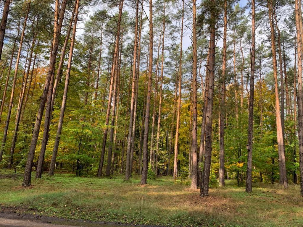 Domek Cyklisty Moryn Esterno foto