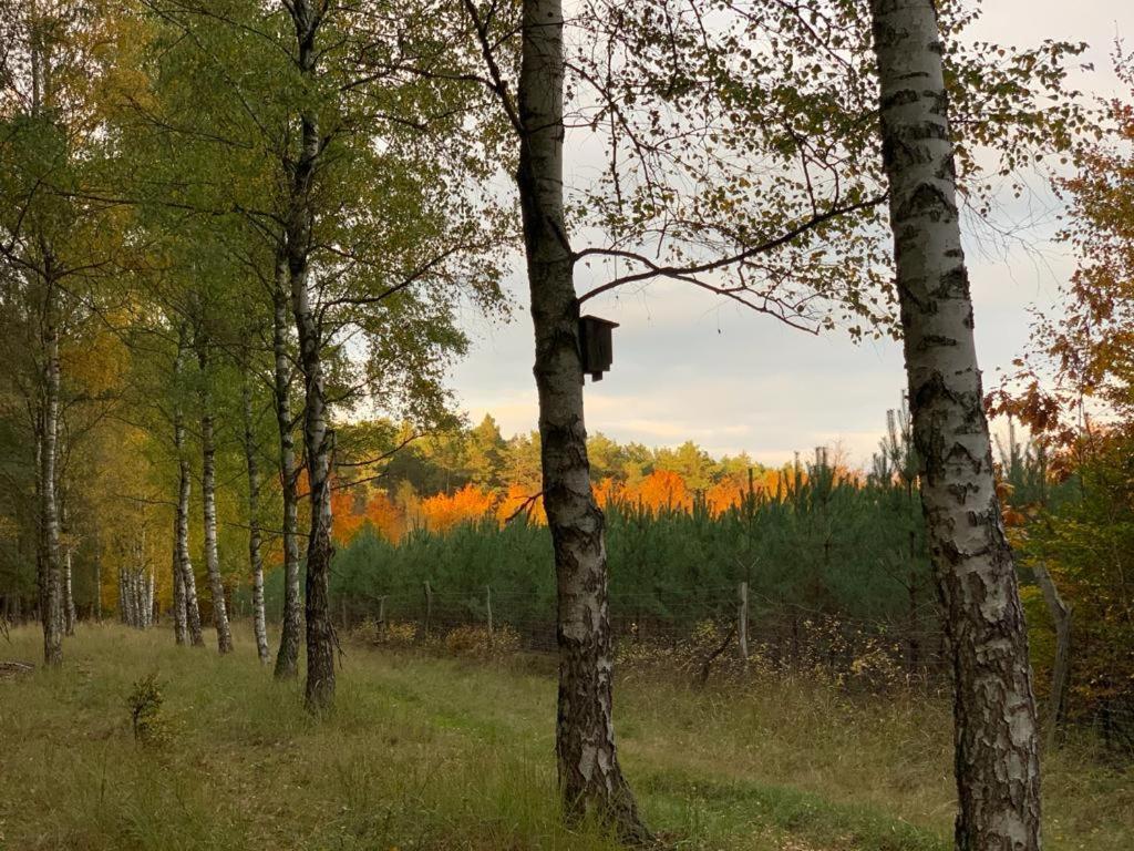 Domek Cyklisty Moryn Esterno foto